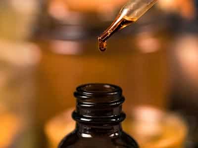 própolis aumenta a imunidade - própolis é bom pra imunidade