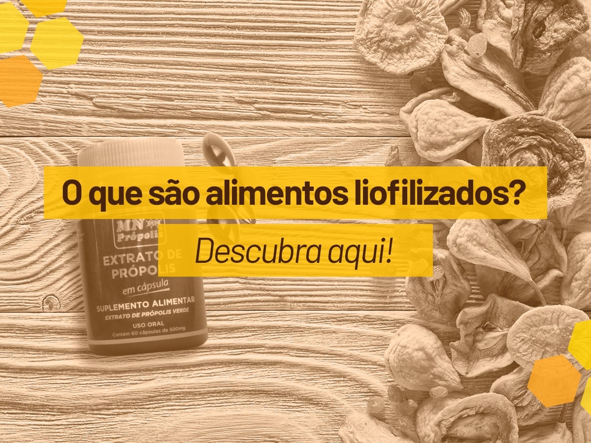 alimentos liofilizados - o que são alimentos liofilizados
